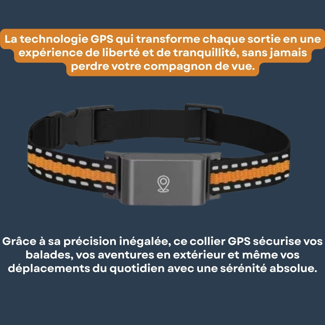 Collier GPS Chien et Chat Sans Abonnement – Suivi en Temps Réel & Portée Illimitée