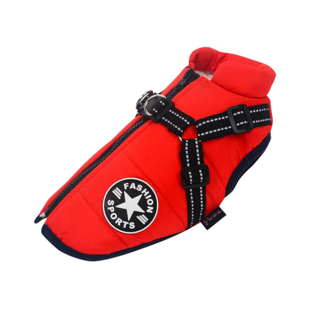 Veste pour chien