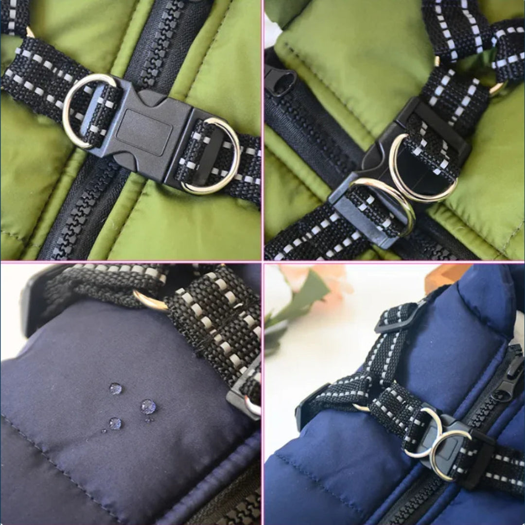 Veste pour chien