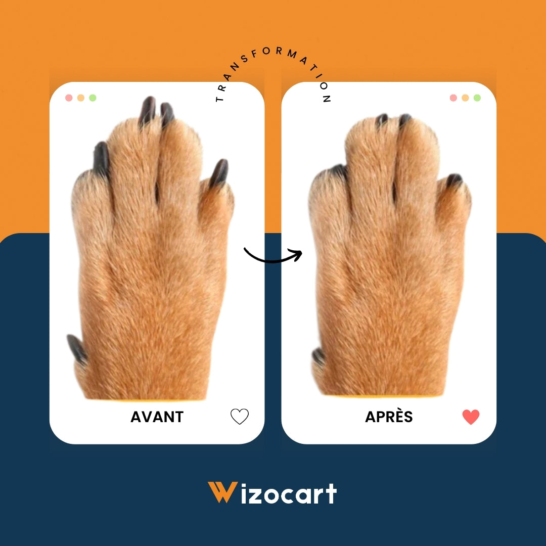 Coupe griffe chat et chien 2-en-1