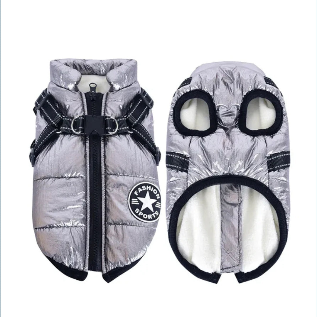 Veste pour chien