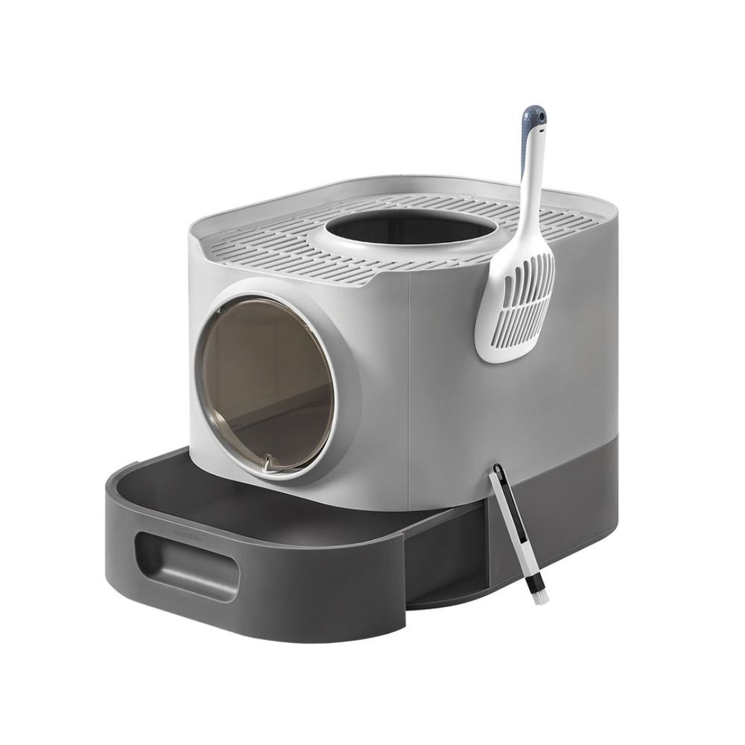 Litière pour chat