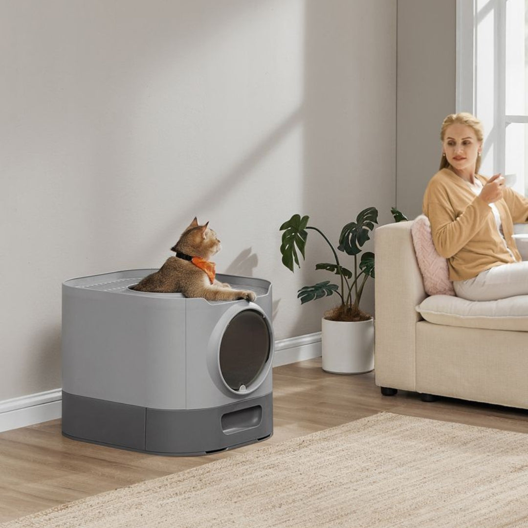 Litière pour chat