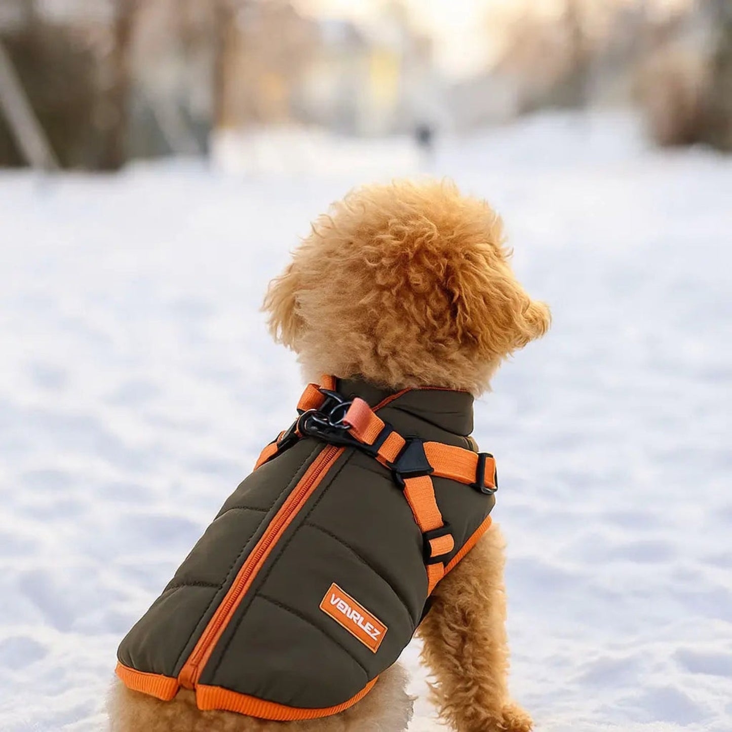 Manteau d'hiver 2 en 1 pour chien