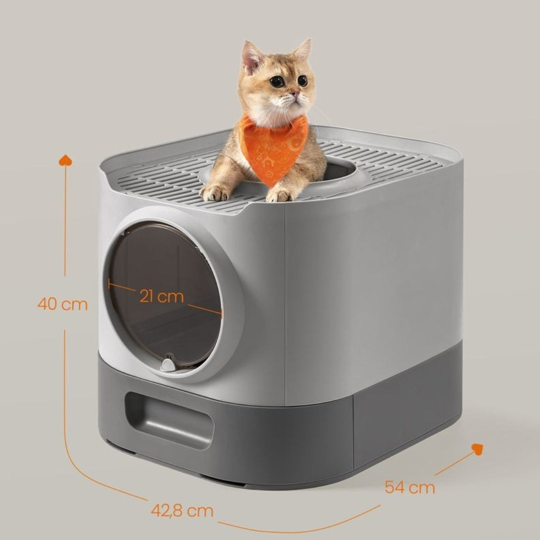 Litière pour chat