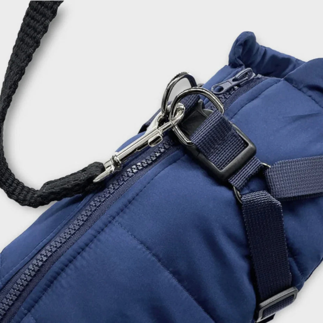 Veste pour chien