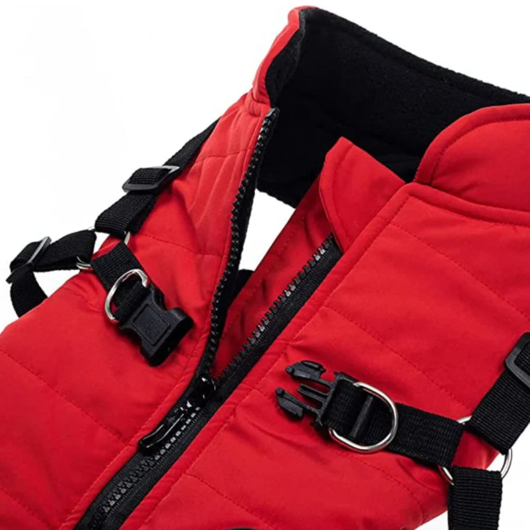 Veste pour chien