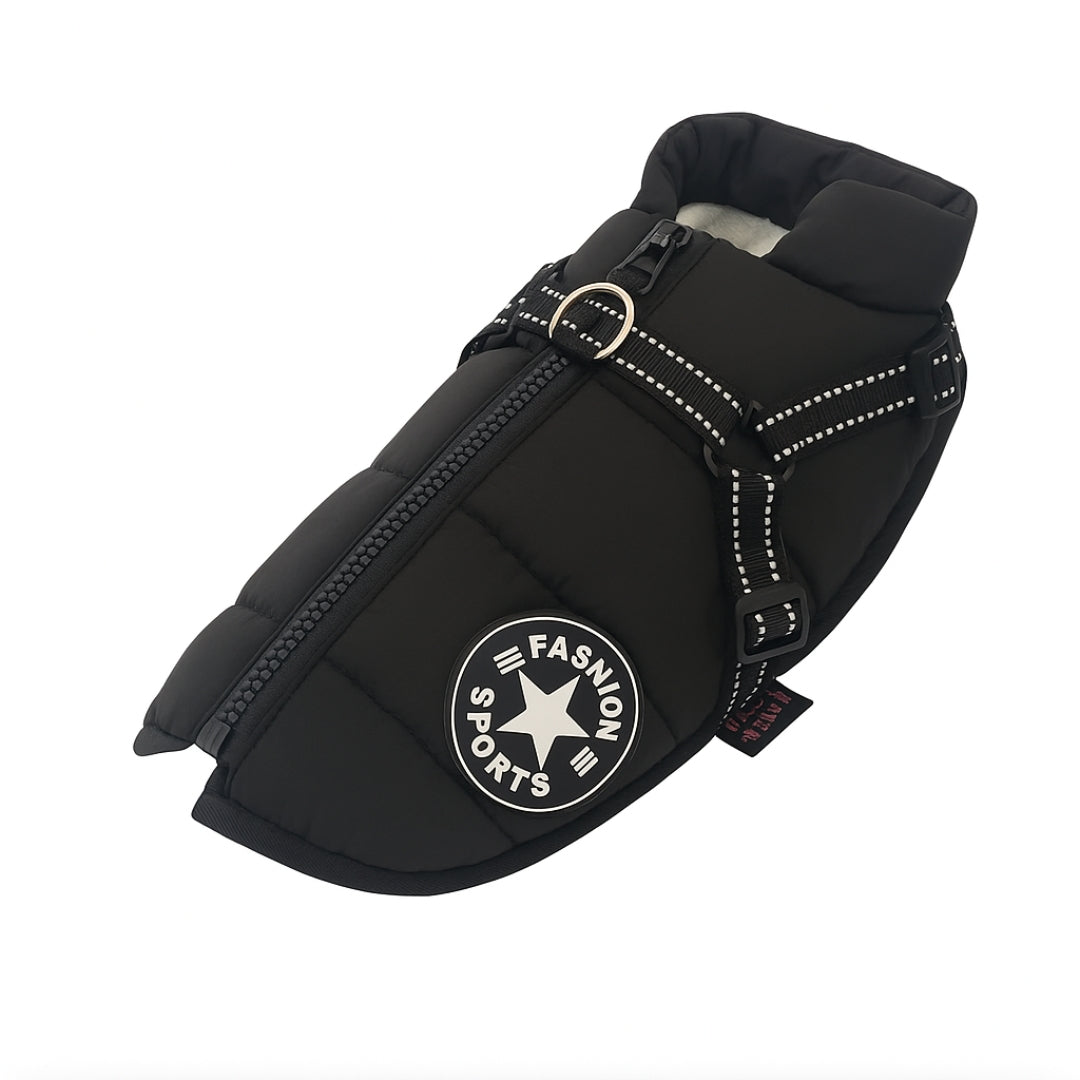 Veste pour chien