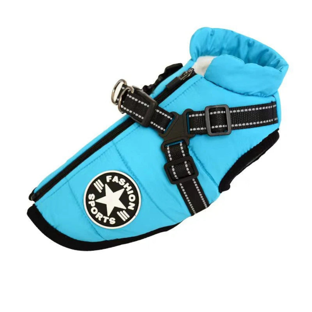 Veste pour chien