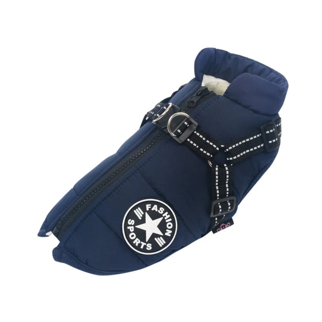 Veste pour chien
