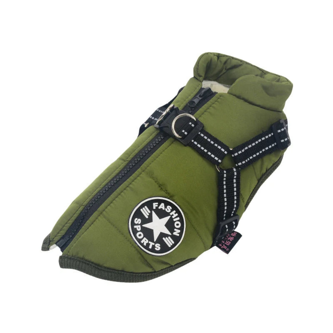 Veste pour chien
