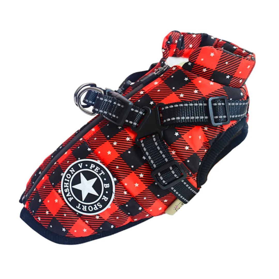 Veste pour chien