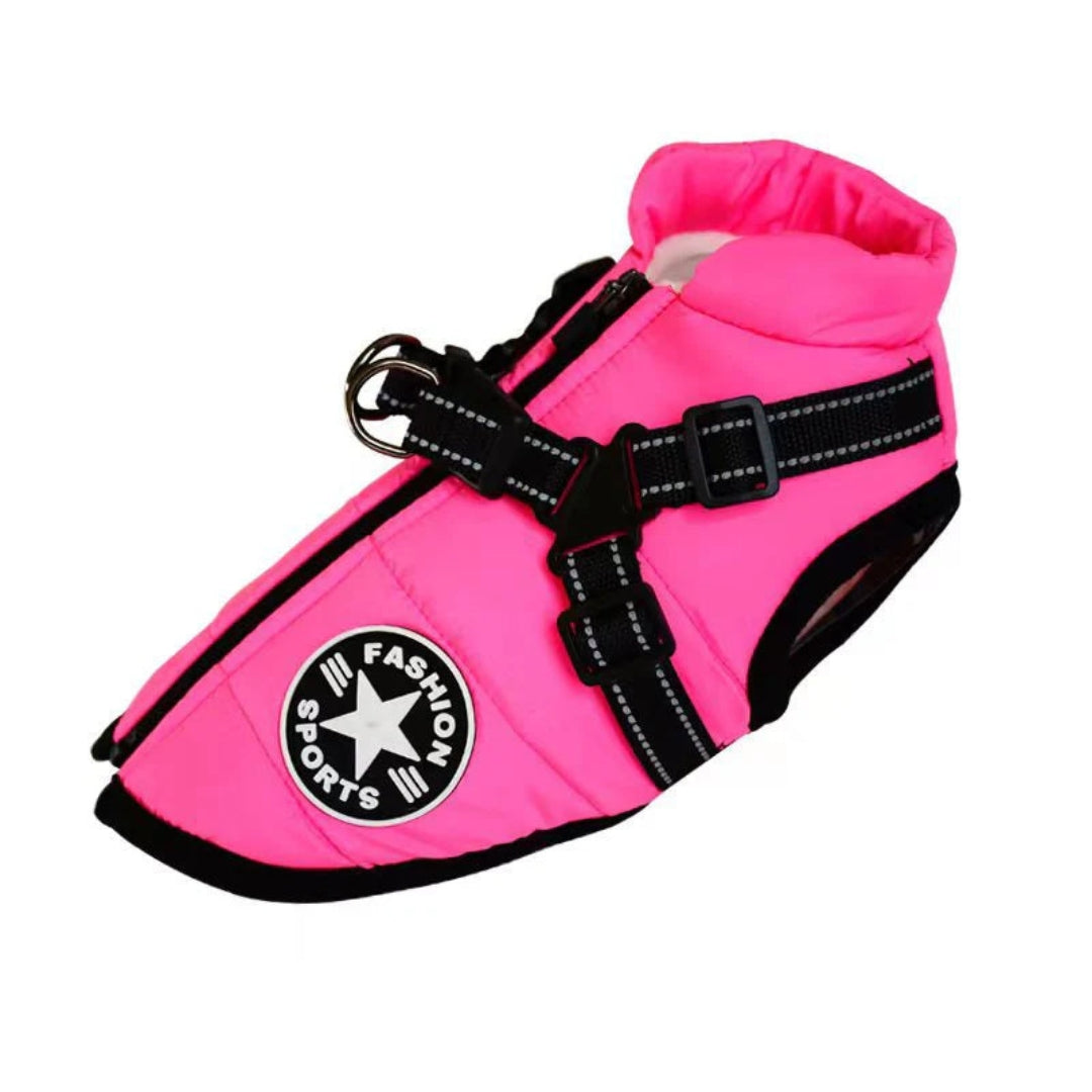 Veste pour chien