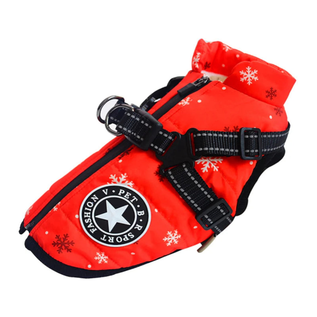 Veste pour chien