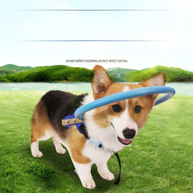 Harnais de guidage pour chien : détail et utilisation.
