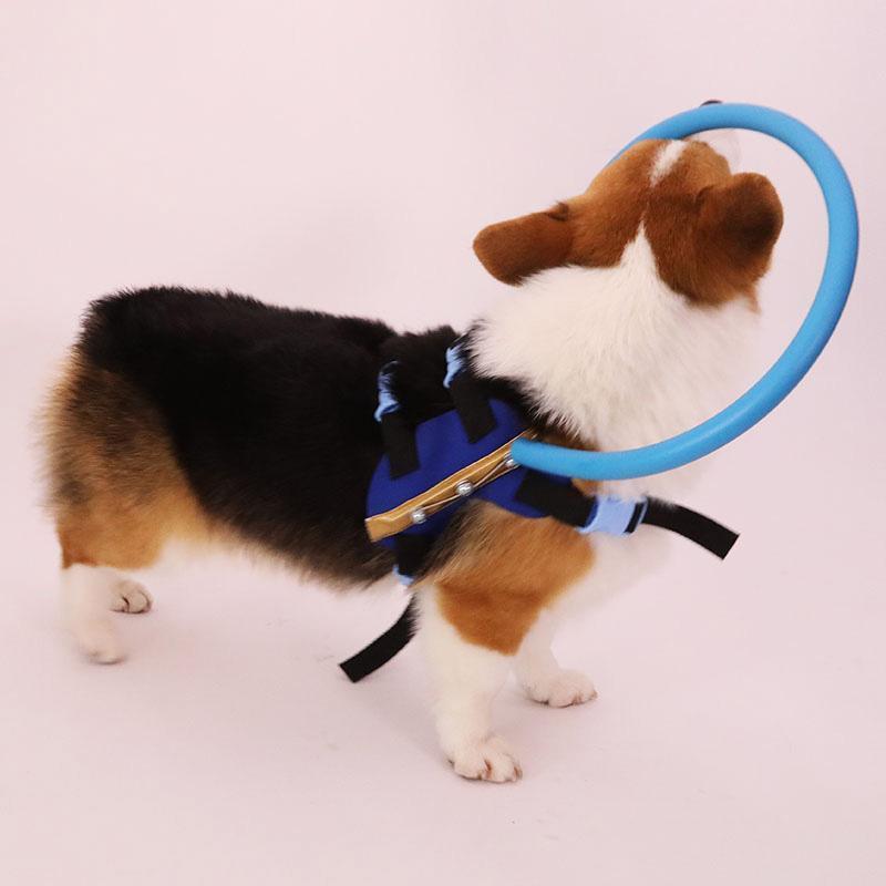 Harnais de guidage pour chien : détail et utilisation.