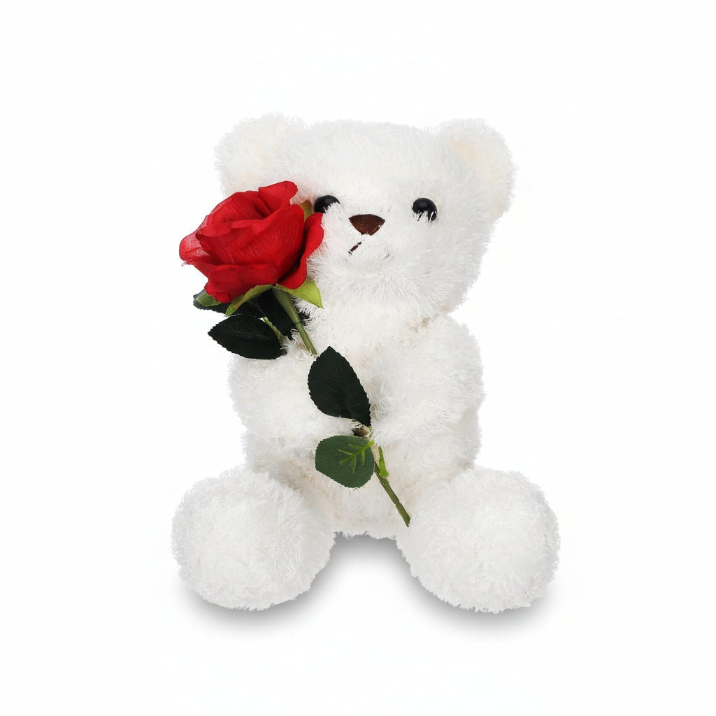 Ours en peluche : Blanc.